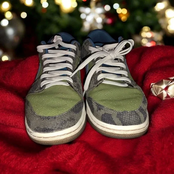 Size 11- Nike Dunk Low Siempre Familia. - Picture 2 of 6